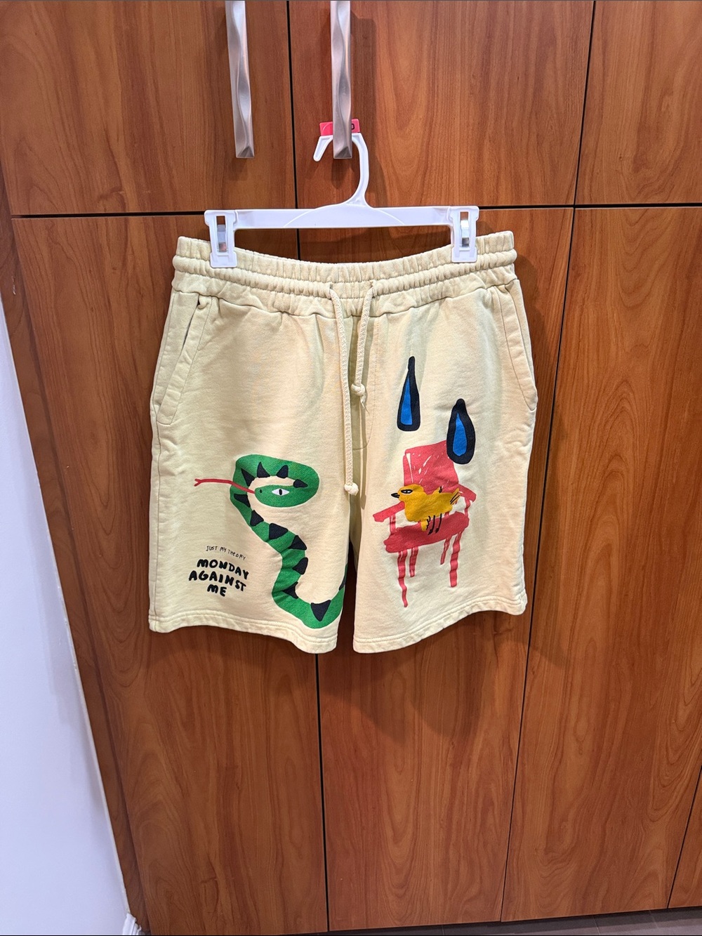 Zara Cream Men's Graphic Drawstring Shorts with Green Snake & Pink Bird Print